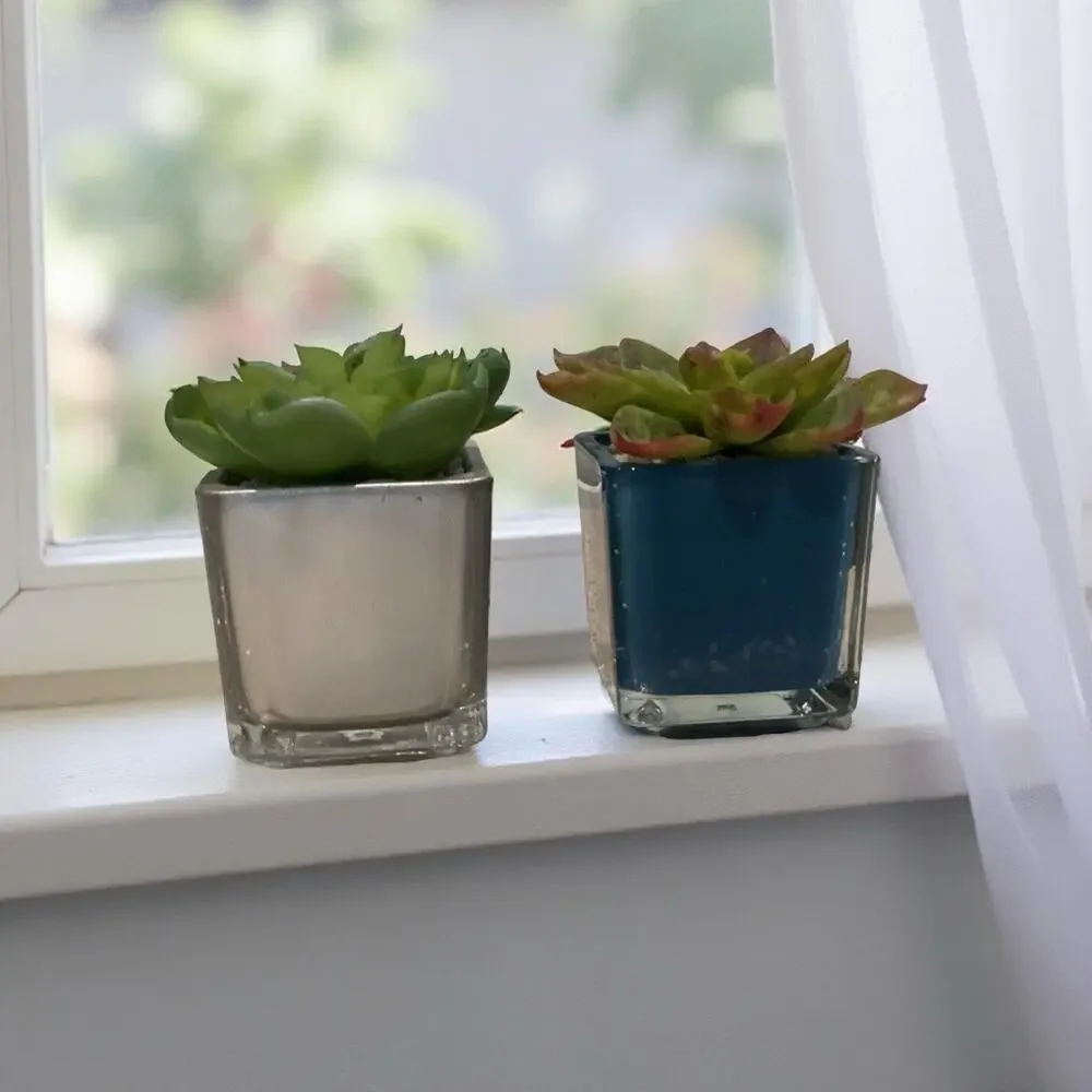 Set of Artificial Succulents
